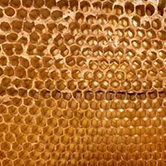 Peptide della pappa reale
