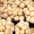 Estratto di Langsat